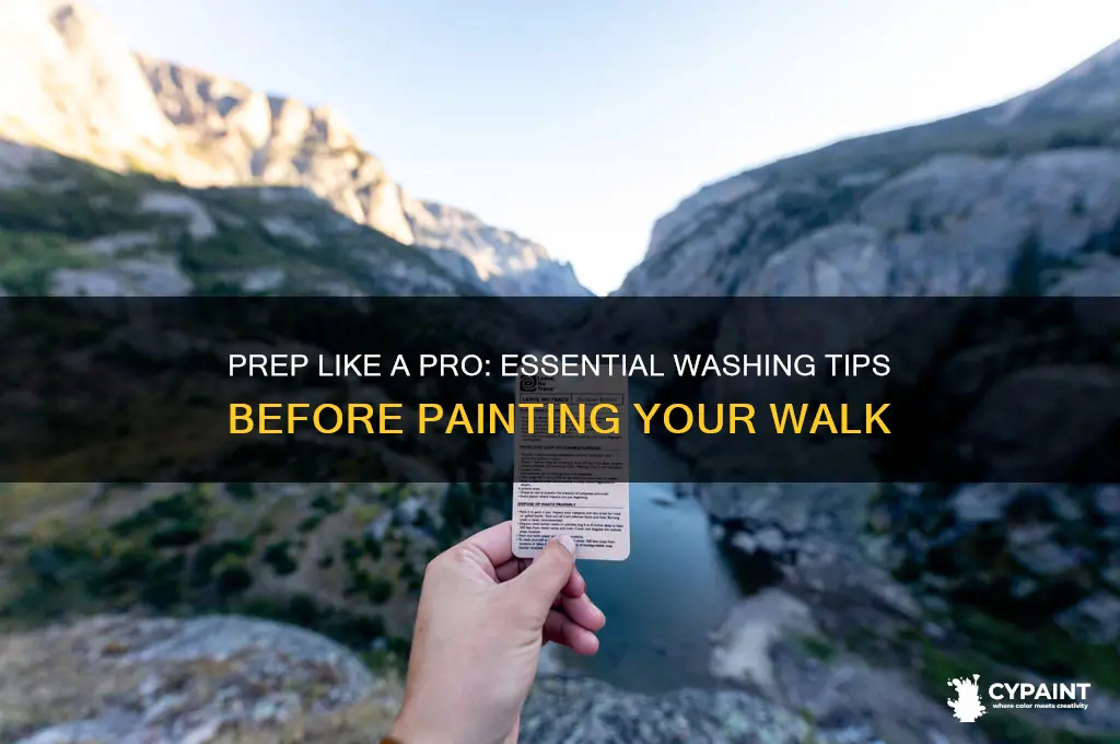 what to wash walk with priir to painting