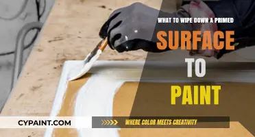 Primer Prep: Best Wipes for Painting