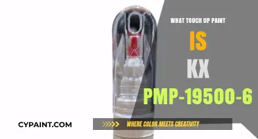 Finding the Right Touch-Up Paint: KX PMP-19500-6856A