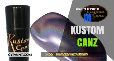 Kustom Canz Paint Types: Unveiling the Creative Colors Inside