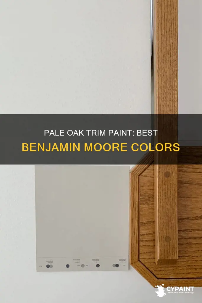 what trim paint goes with pale oak benjamin moore