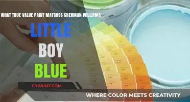 Finding the Perfect Match: True Value Paint's Equivalent to Sherman-Williams' Little Boy Blue