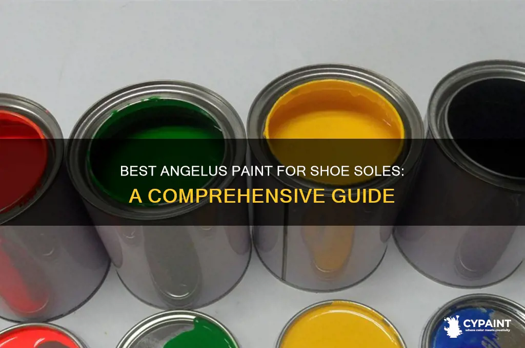 what type angelus paint for bottom of shoes