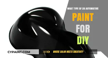 DIY Auto Painting Guide: Choosing the Right 2K Automotive Paint