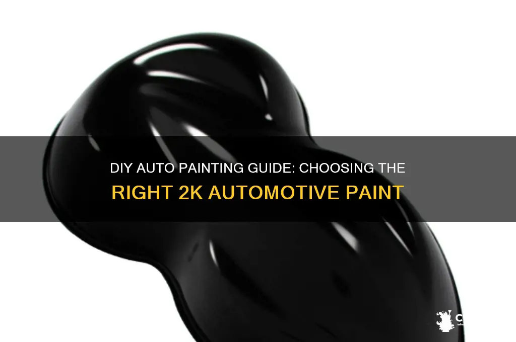 what type of 2k automotive paint for diy