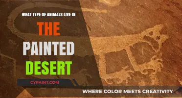 Exploring the Wildlife of the Painted Desert