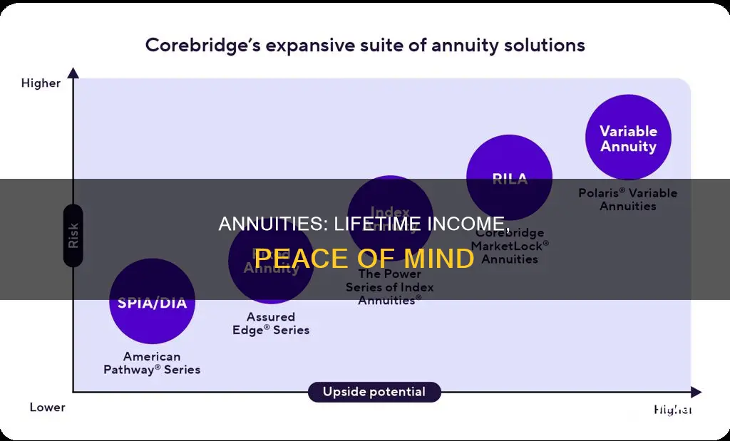 what type of annuity paint can an annuitant outlive
