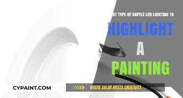 Enhancing Art with LED Lighting: A Guide to Baffle Types