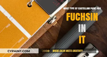 Fuchsin-Infused Castellani Paint: What's the Type?