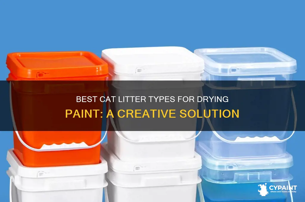 what type of cat litter to dry paint