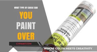Revamp Your Home: A Guide to Paintable Caulks for Seamless Walls