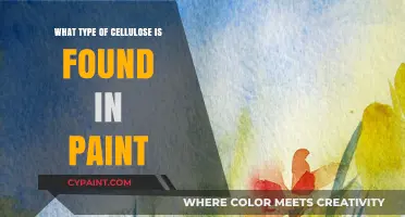 Understanding Cellulose Types in Paint: Composition and Applications Explained