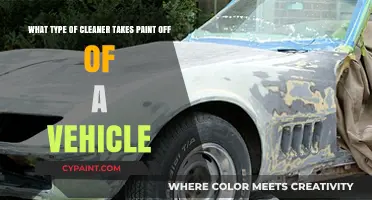 Effective Paint Removal: A Guide to Vehicle Surface Cleaners