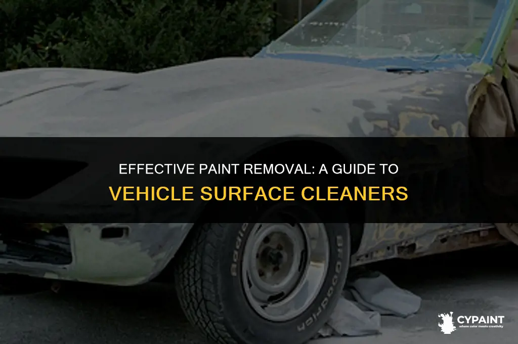 what type of cleaner takes paint off of a vehicle