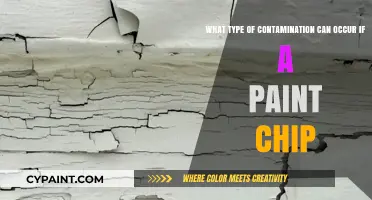 Unveiling the Hidden Dangers: Paint Chip Contamination Explained