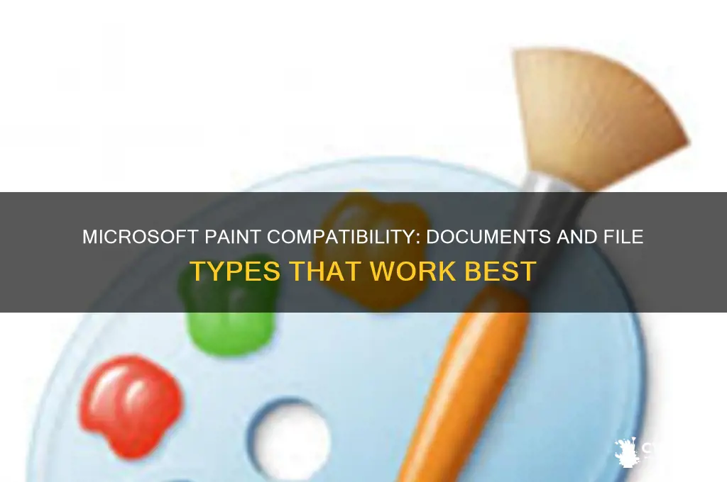 what type of documents work with microsoft painter