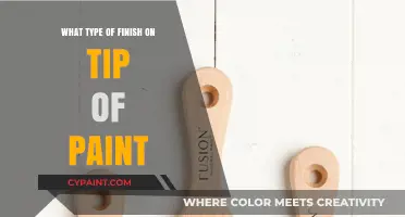 Choosing the Perfect Paint Finish: Tips for a Flawless Tip