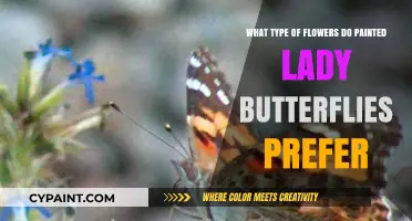 Painted Ladies' Favorite Flowers: A Guide