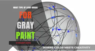 Best Light Bulbs to Enhance Gray Paint in Your Home