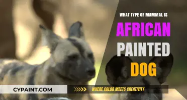 African Painted Dogs: Unveiling the Unique Mammal Species of Africa