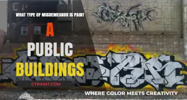 Vandalism: Understanding the Misdemeanor of Painting Public Buildings