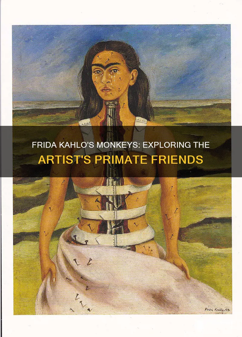 what type of monkey are in frida kahlos paintings