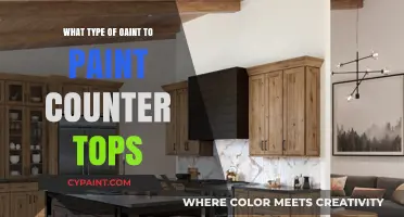 Best Paint Types for Durable and Stylish Countertop Makeovers