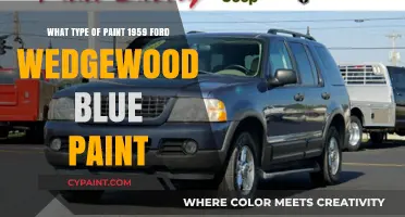 Finding the Right Paint for a 1959 Ford