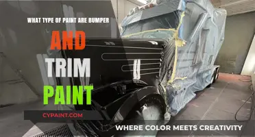 Choosing the Right Paint for Bumpers and Trim