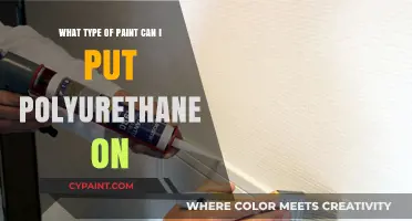 Polyurethane Compatibility: Paint Types Explored