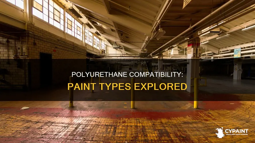 what type of paint can i put polyurethane on