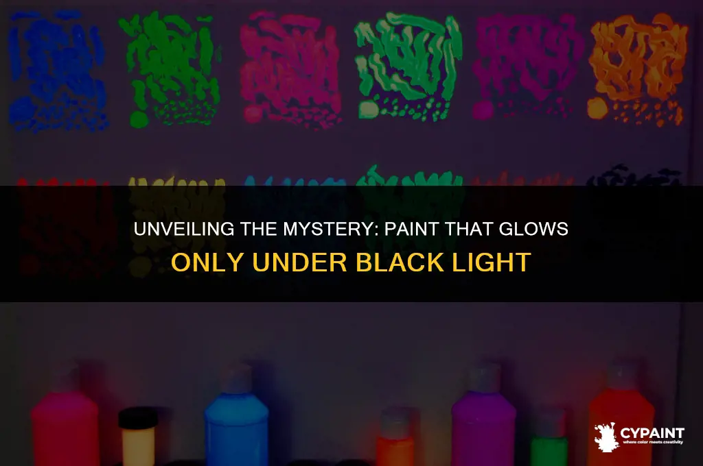 what type of paint can only be seen in blacklight