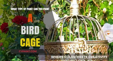 Choosing the Perfect Paint for Your Bird Cage: A Comprehensive Guide