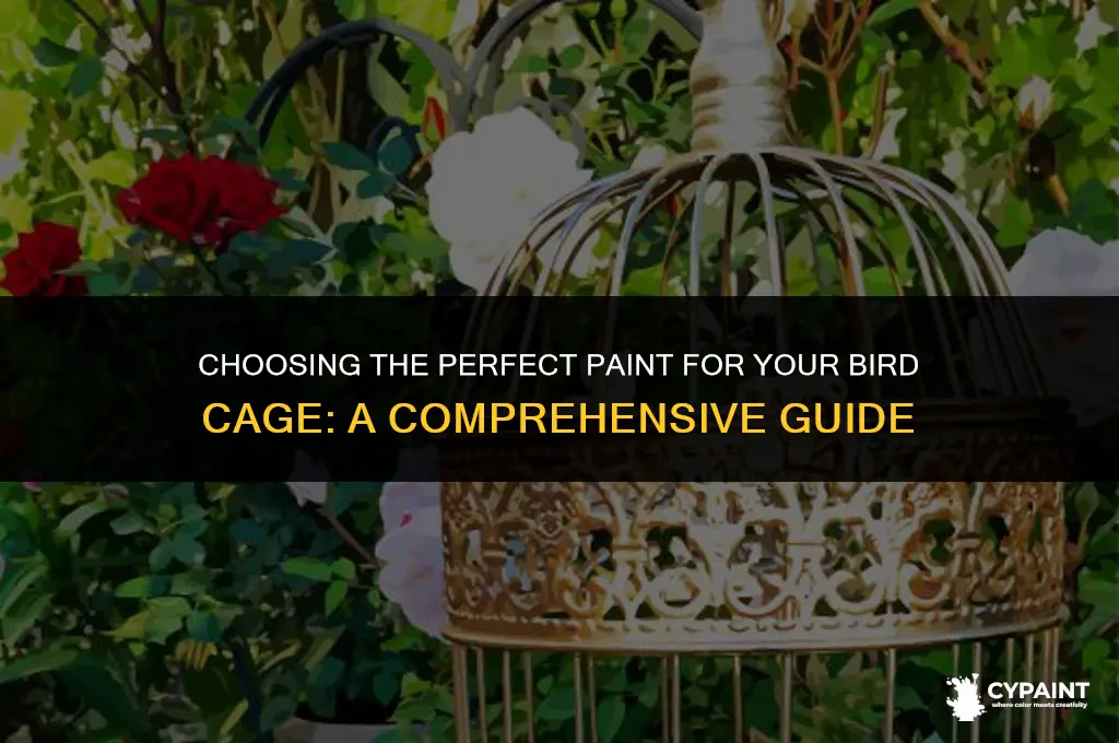 what type of paint can you paint a bird cage