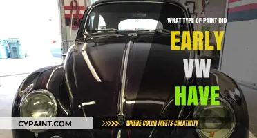 Unveiling the Original Paint Types Used on Early Volkswagen Models