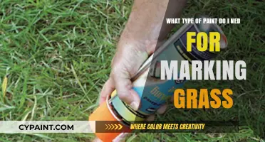 Choosing the Right Paint for Marking Your Lawn: A Comprehensive Guide