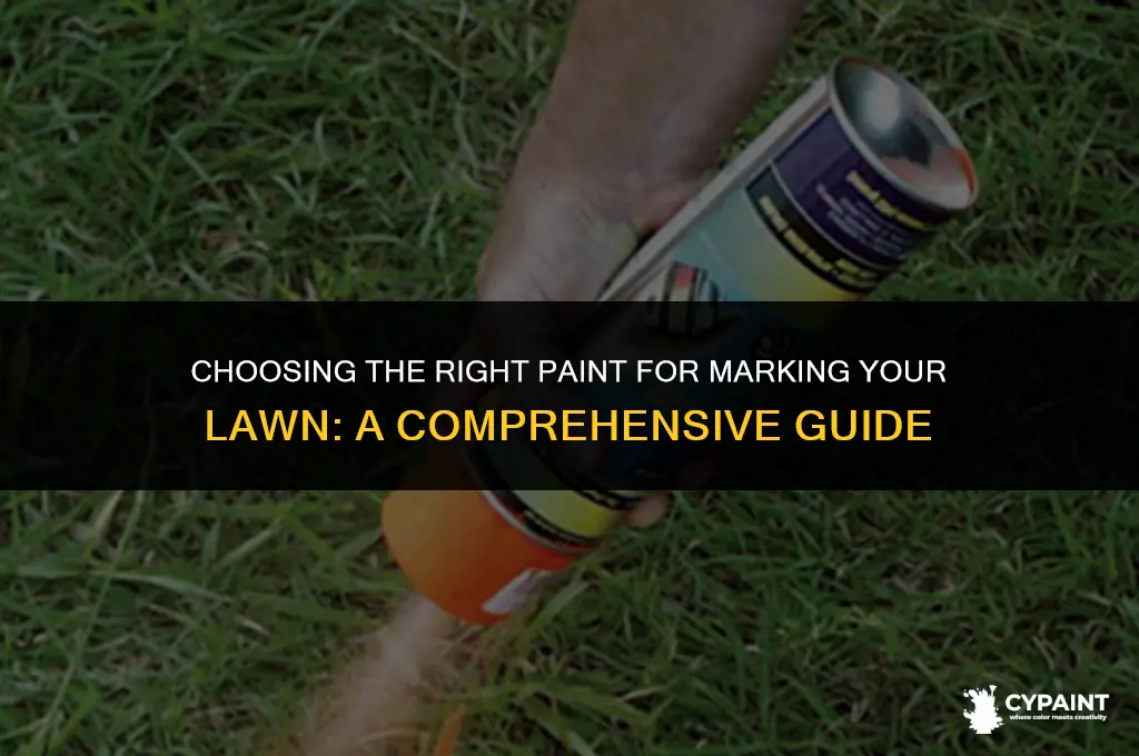 what type of paint do i ned for marking grass