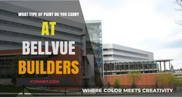 Exploring Paint Options at Bellevue Builders: A Comprehensive Guide