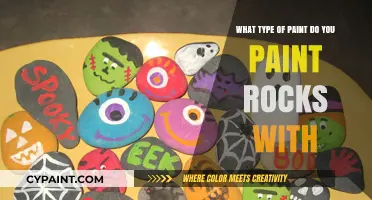 Best Paint for Rock Art: Acrylic, Spray, or Enamel?