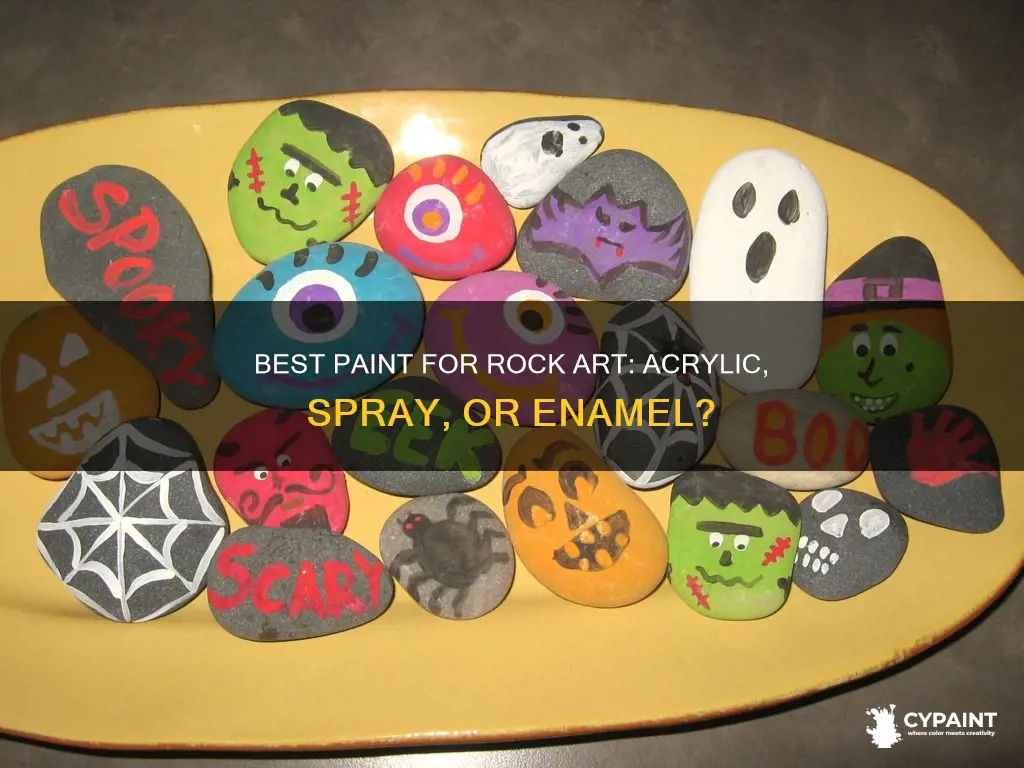 what type of paint do you paint rocks with