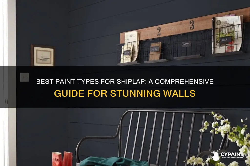 what type of paint do you paint shiplap