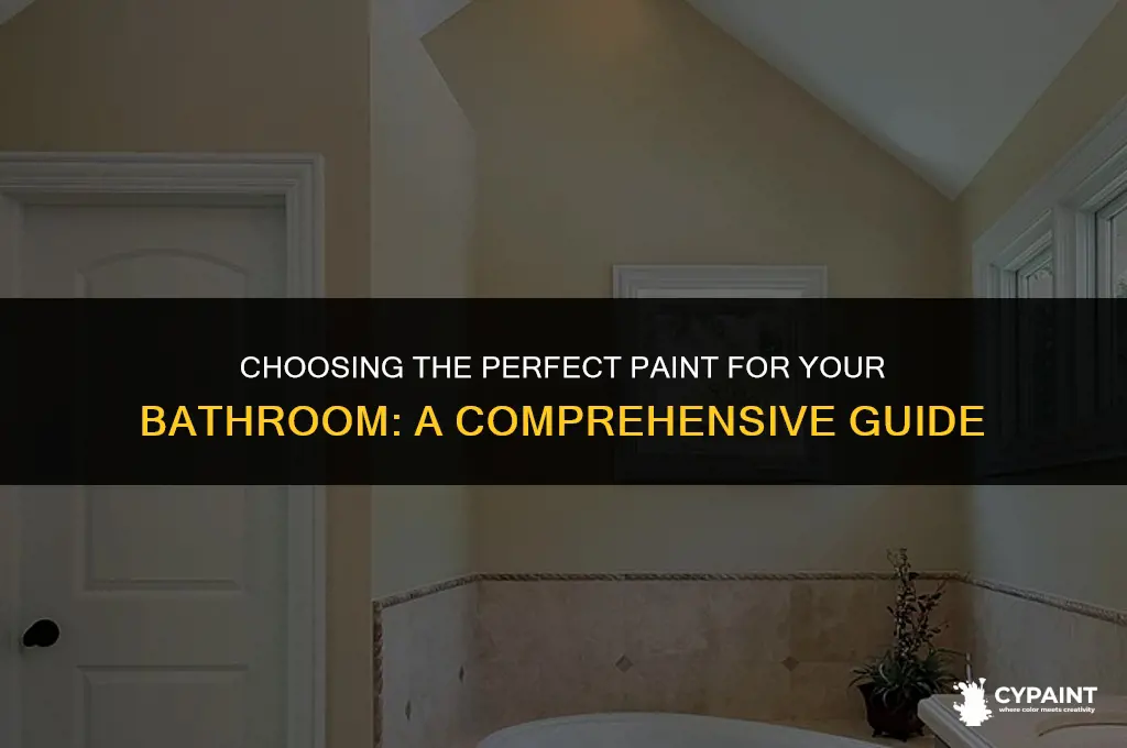 what type of paint do you put in a bathroom
