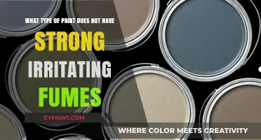 Eco-Friendly Painting: Exploring Low-Fume Paint Options for a Healthier Home