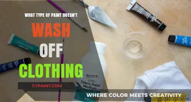 Best Paints for Clothing: Wash-Resistant Options