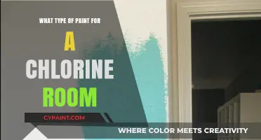 Choosing the Right Paint for Chlorine Rooms: A Comprehensive Guide
