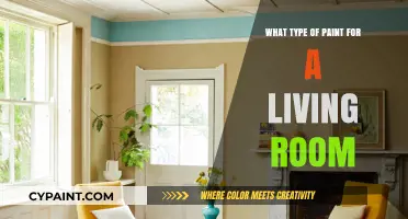 Choosing the Perfect Living Room Paint: Types, Finishes, and Tips