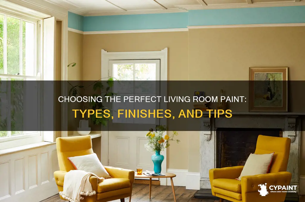 what type of paint for a living room