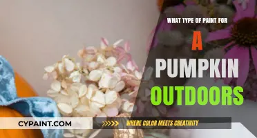 Best Outdoor Pumpkin Paint: Weather-Resistant Options for Long-Lasting Decor