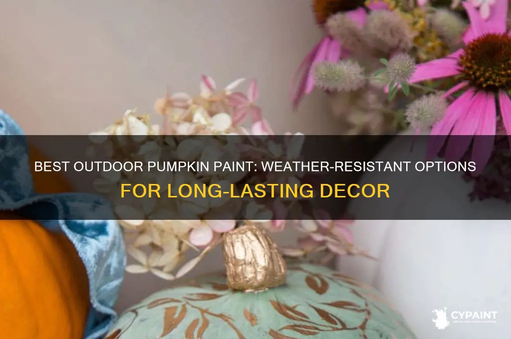 what type of paint for a pumpkin outdoors
