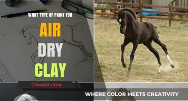 Best Paint Options for Air Dry Clay Projects: A Comprehensive Guide